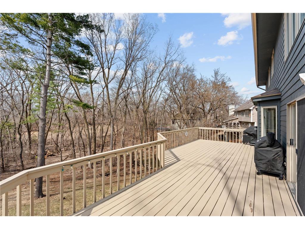 3617 Tanglewood Court Eagan MN 55123 7047804 image10