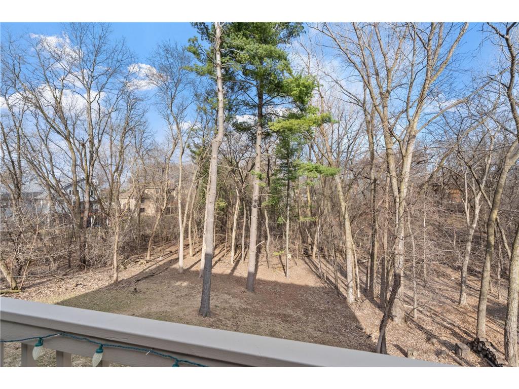 3617 Tanglewood Court Eagan MN 55123 7047804 image12