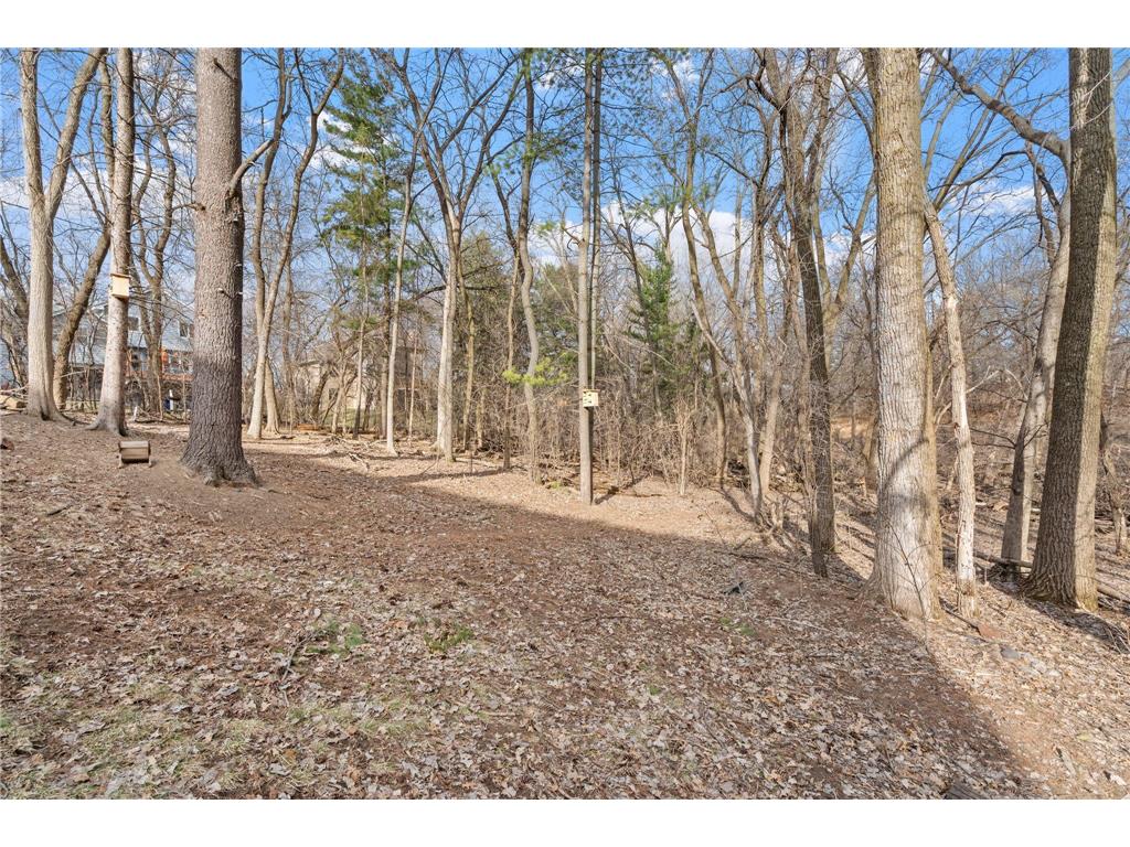 3617 Tanglewood Court Eagan MN 55123 7047804 image54