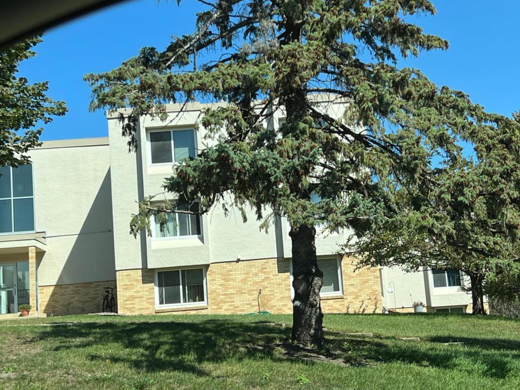 362 Elton Hills Drive NW #18 Rochester MN 55901 6825052 image17