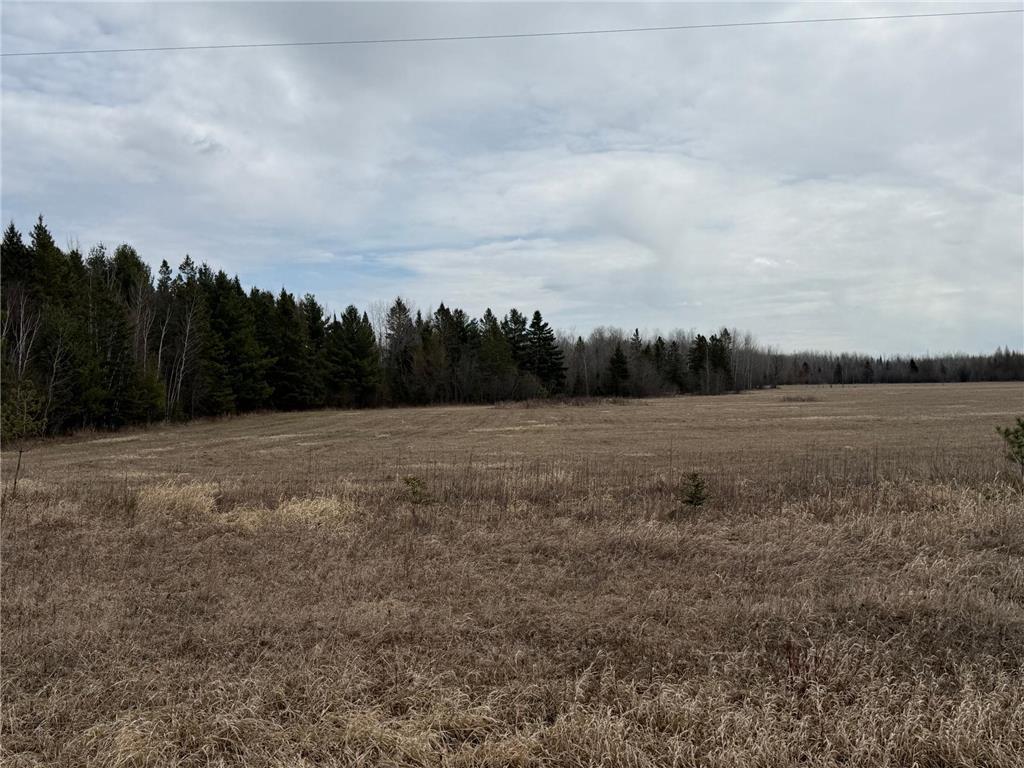 3630 County Road 142 International Falls MN 56649 - Rat Root River 7071081 image42