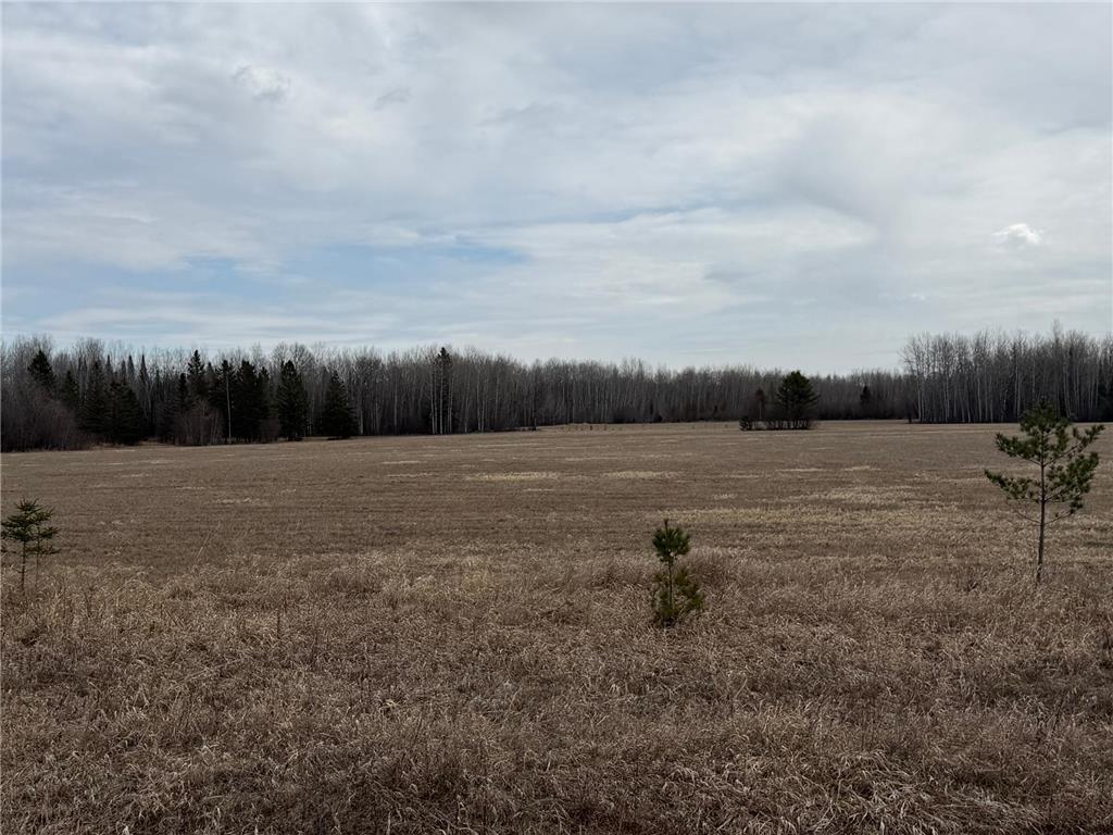 3630 County Road 142 International Falls MN 56649 - Rat Root River 7071081 image44