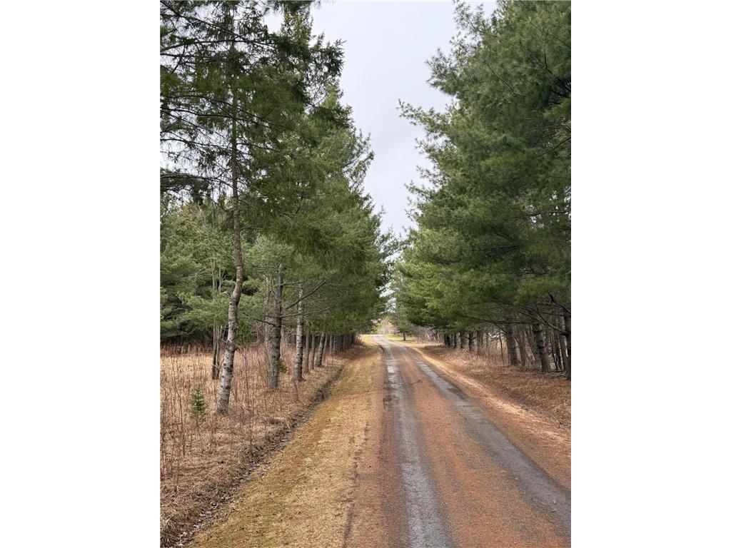 3630 County Road 142 International Falls MN 56649 - Rat Root River 7071081 image45
