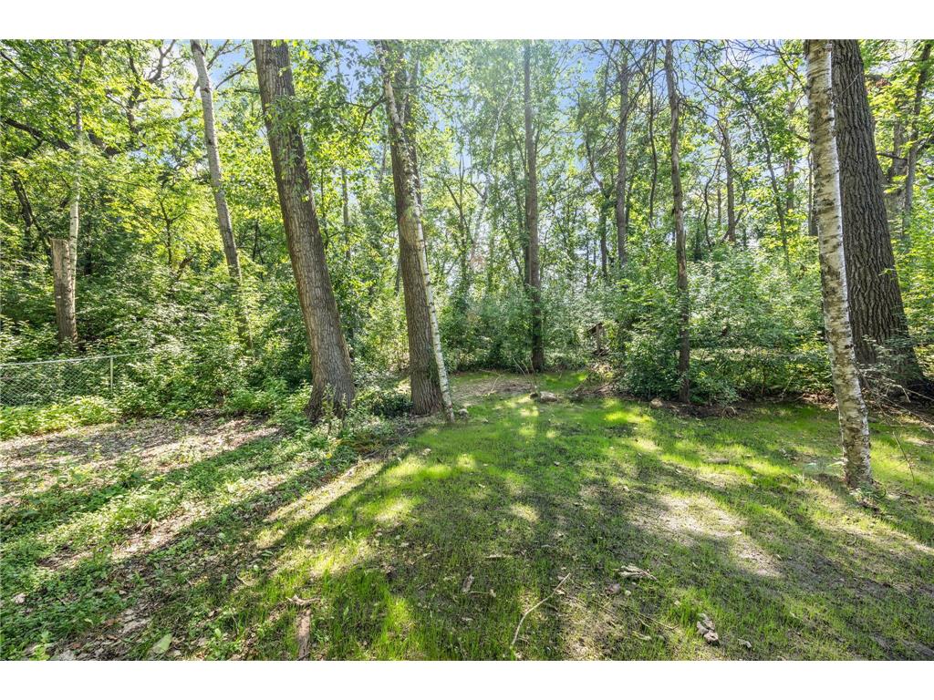 3633 Windtree Drive Eagan MN 55123 7104026 image52