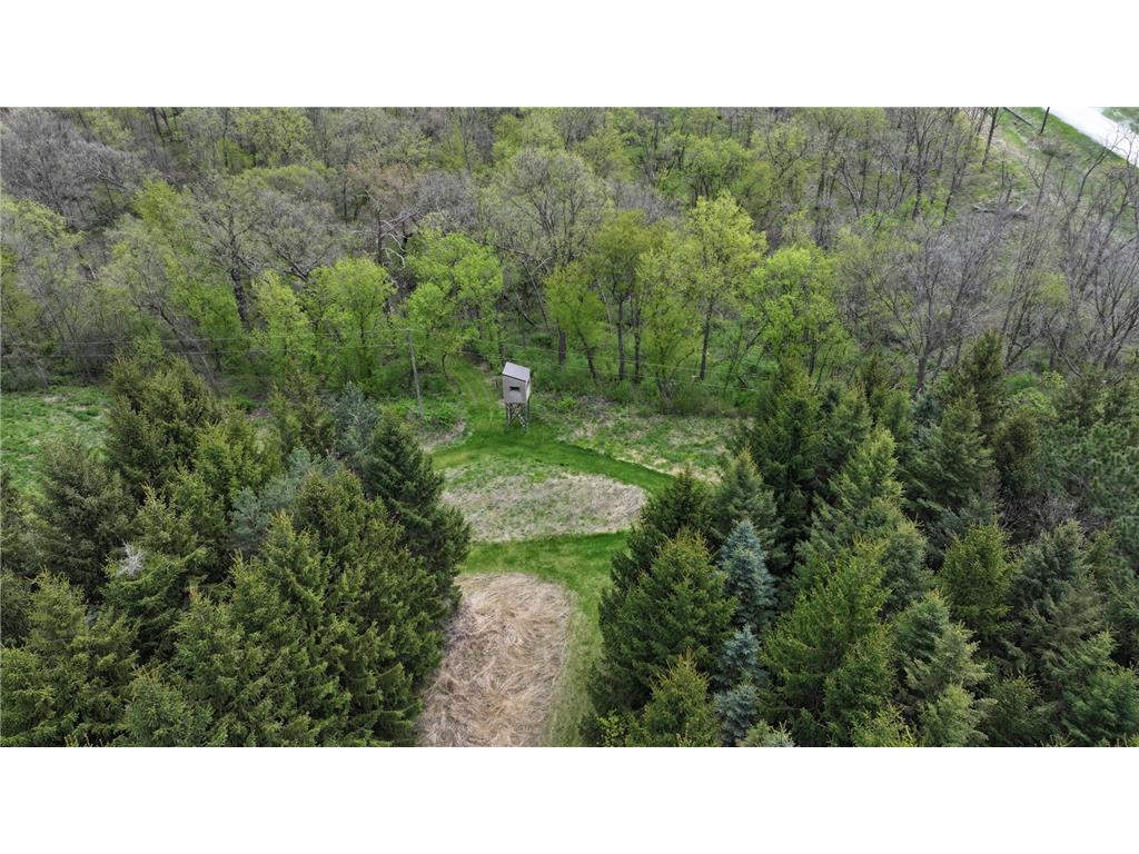 36349 146th Street Canton Twp MN 55922 7066584 image3