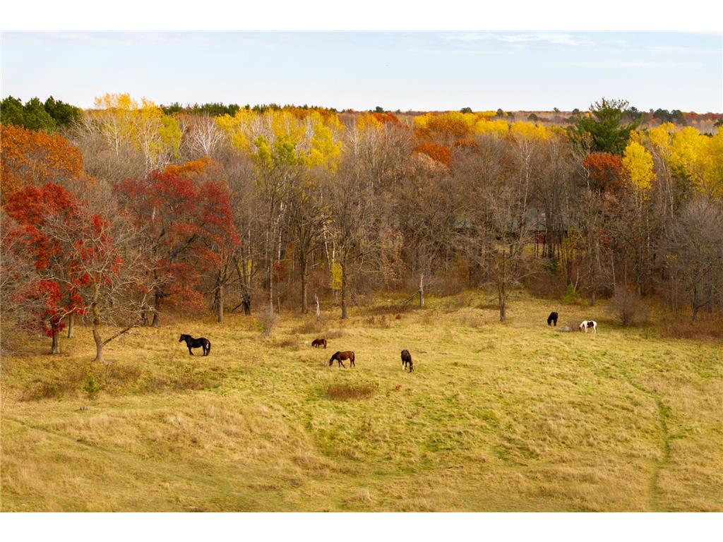 36360 County 39 Laporte MN 56461 6812778 image42