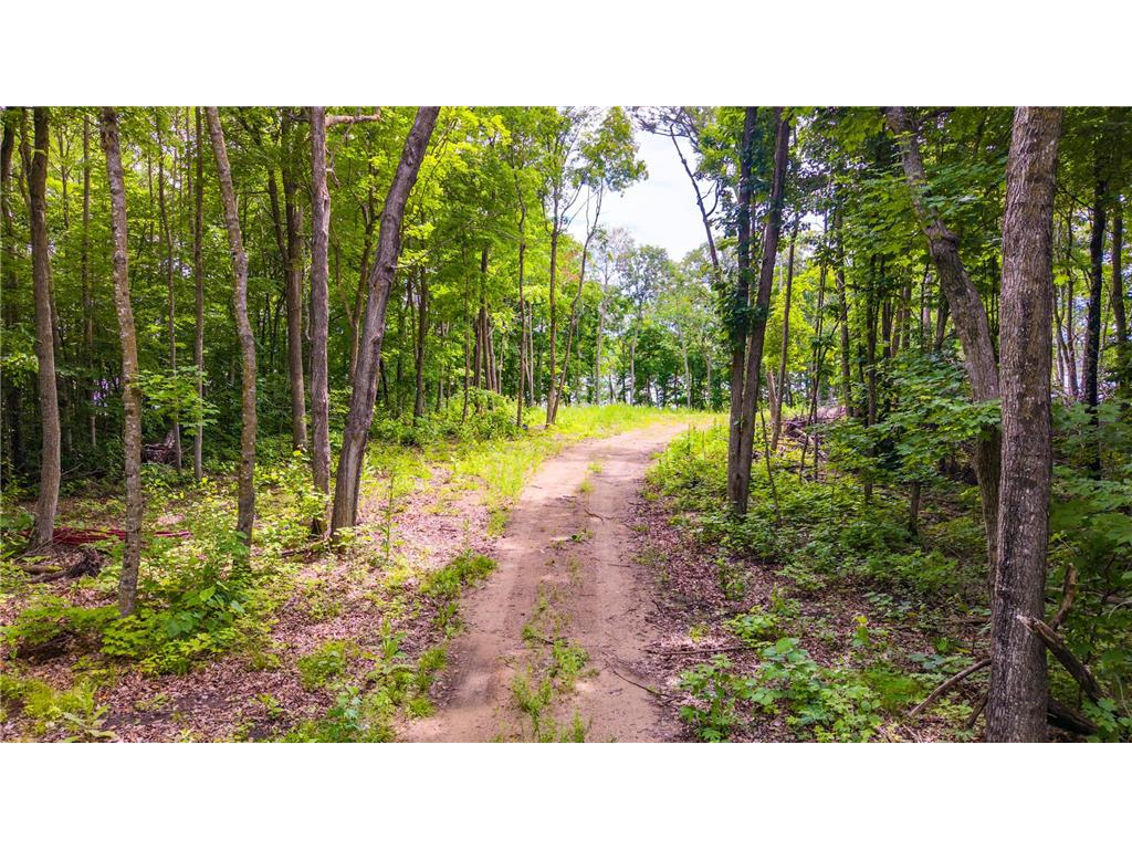 36363 County Highway 34 Maple Grove Twp MN 56569 - Jack Haw 7047453 image24