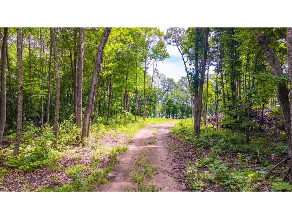 36363 County Highway 34 Maple Grove Twp MN 56569 - Jack Haw 7047453 image4