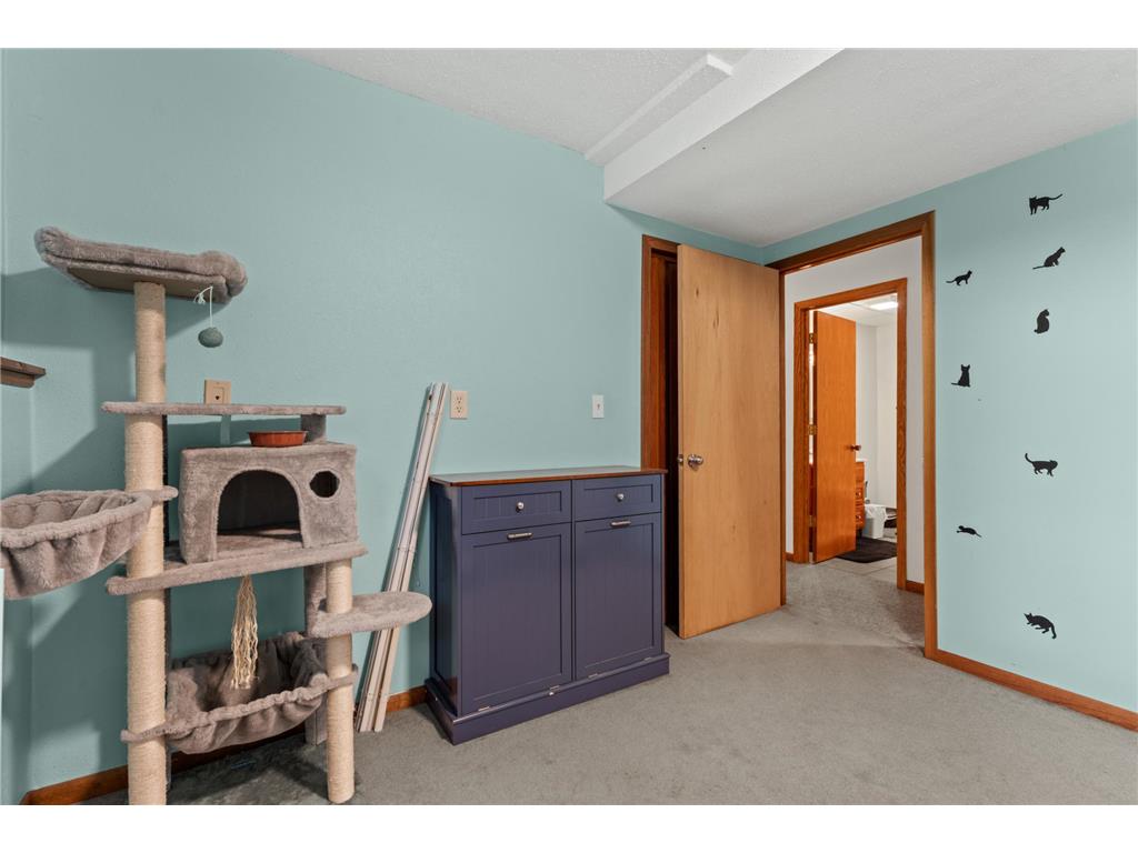 3640 8 1/2 Street NW Rochester MN 55901 7080491 image21