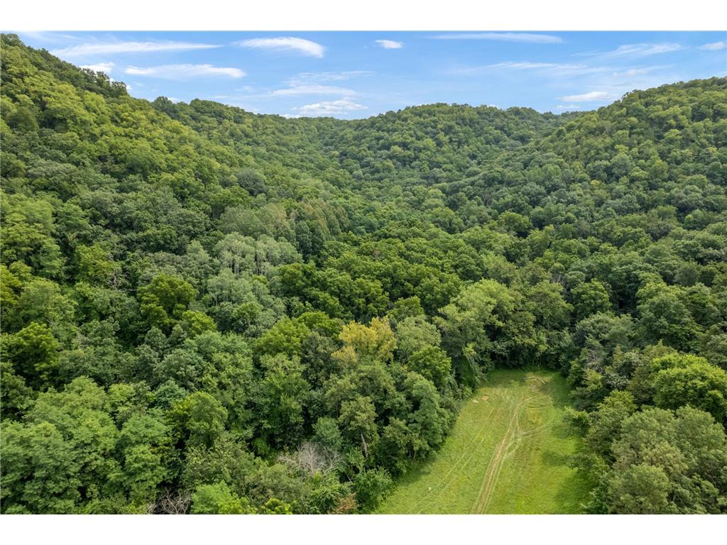 36415 Homer Valley Lane Homer Twp MN 55987 6770163 image52