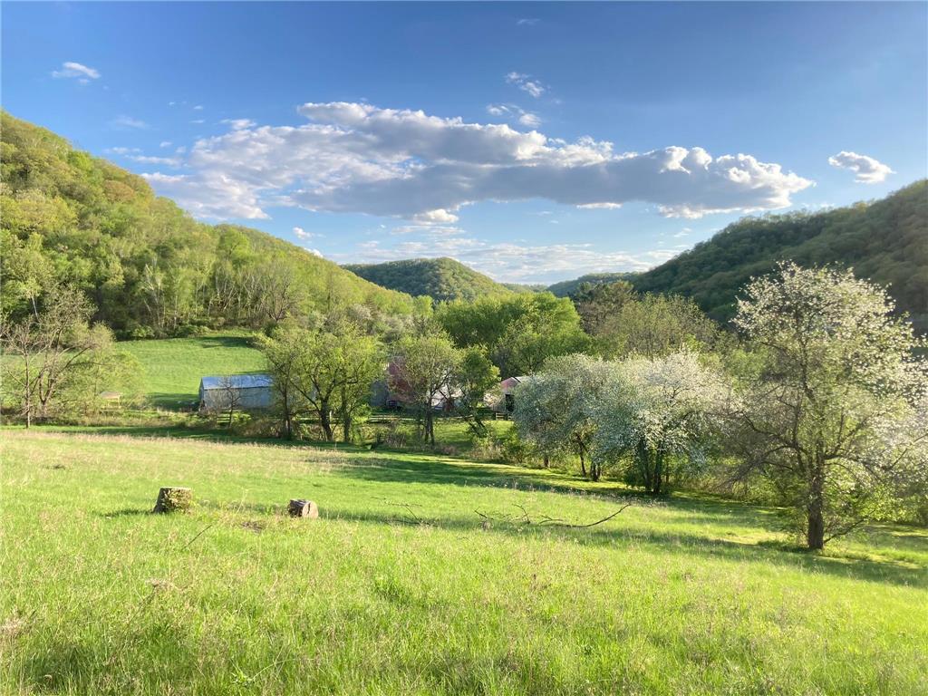 36415 Homer Valley Lane Homer Twp MN 55987 6770163 image61