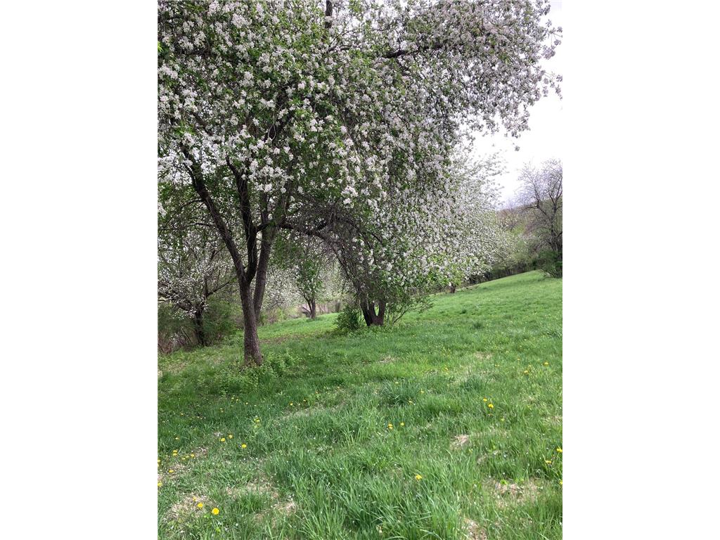 36415 Homer Valley Lane Homer Twp MN 55987 6770163 image69