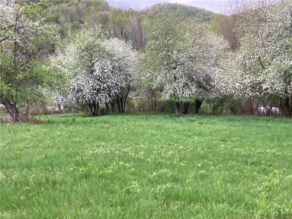 36415 Homer Valley Lane Homer Twp MN 55987 6770163 image70