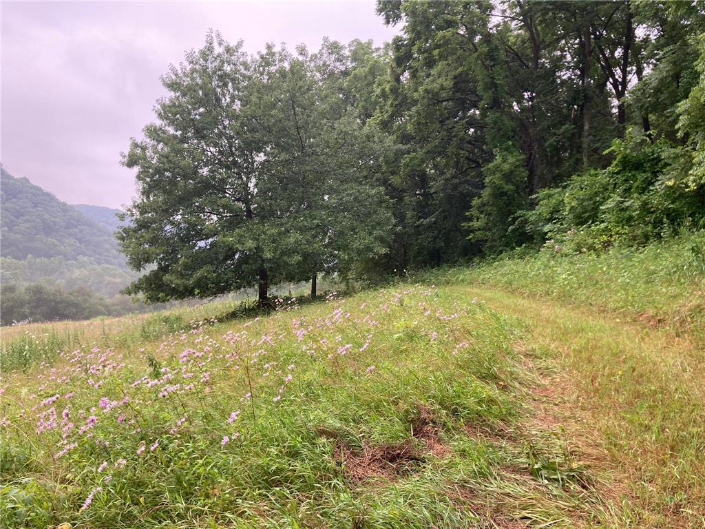 36415 Homer Valley Lane Homer Twp MN 55987 6770163 image72