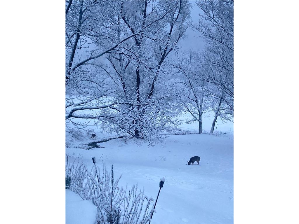 36415 Homer Valley Lane Homer Twp MN 55987 6770163 image79