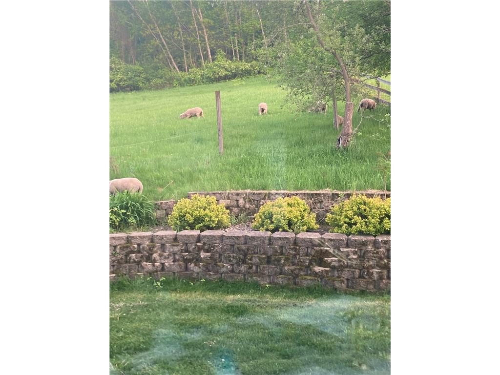 36415 Homer Valley Lane Homer Twp MN 55987 6770163 image80