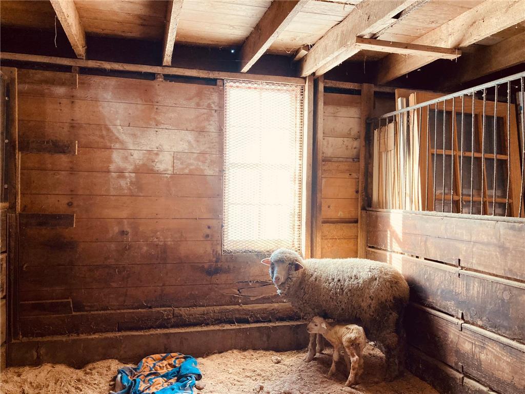 36415 Homer Valley Lane Homer Twp MN 55987 6770163 image82