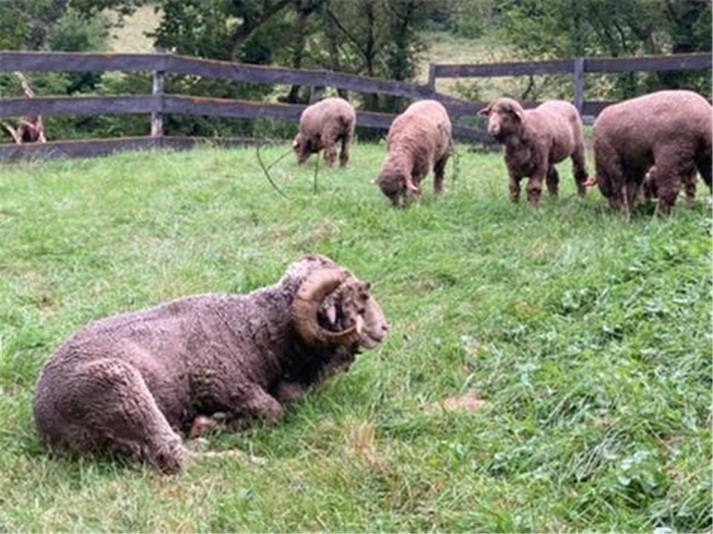 36415 Homer Valley Lane Homer Twp MN 55987 6770163 image83