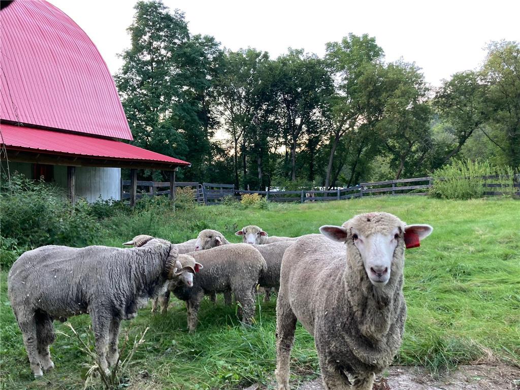 36415 Homer Valley Lane Homer Twp MN 55987 6770163 image84