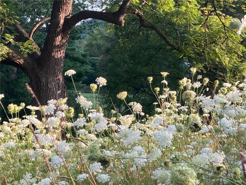 36415 Homer Valley Lane Homer Twp MN 55987 6770163 image89