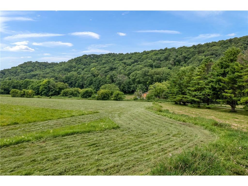 36415 Homer Valley Lane Homer Twp MN 55987 6770163 image9