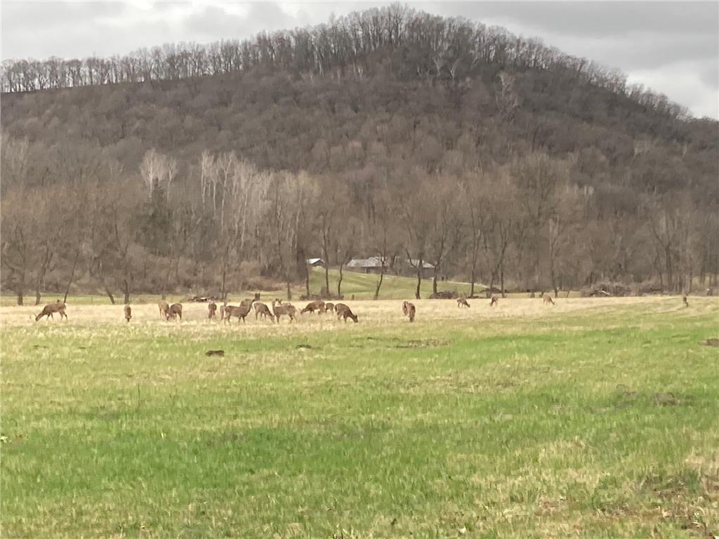 36415 Homer Valley Lane Homer Twp MN 55987 6770163 image92