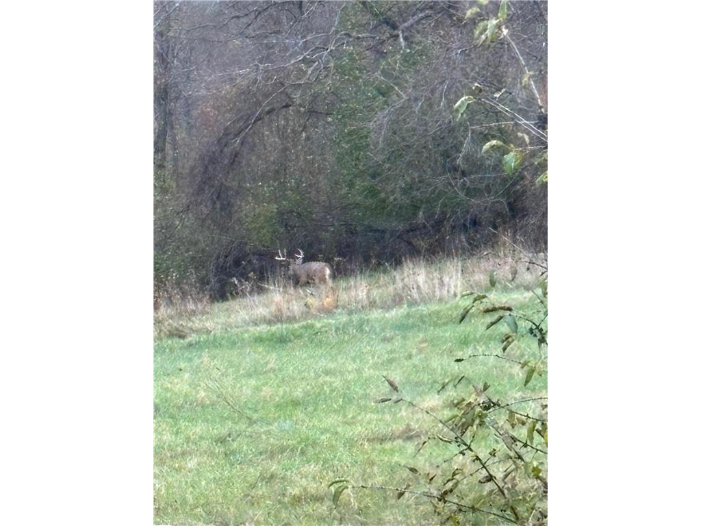 36415 Homer Valley Lane Homer Twp MN 55987 6770163 image93