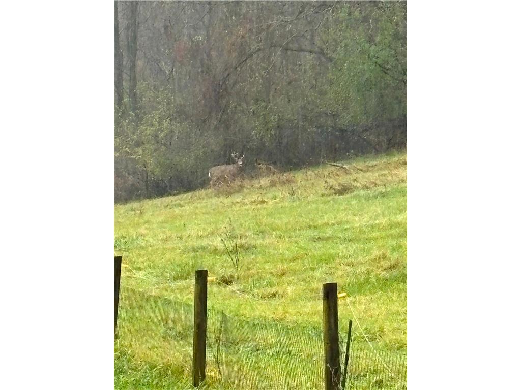 36415 Homer Valley Lane Homer Twp MN 55987 6770163 image94