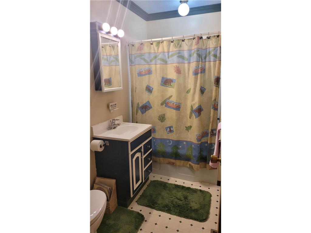 3644 4th Street NW Backus MN 56435 - Lind 7081976 image10