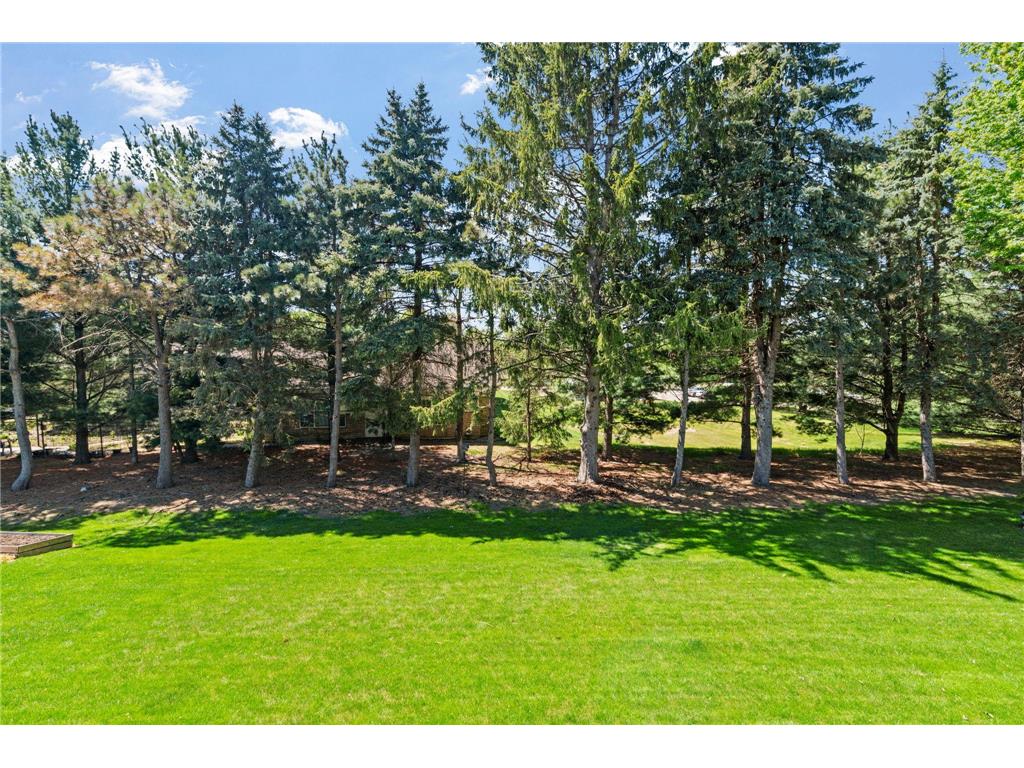 3648 Mount Vernon Lane Woodbury MN 55129 7066433 image20
