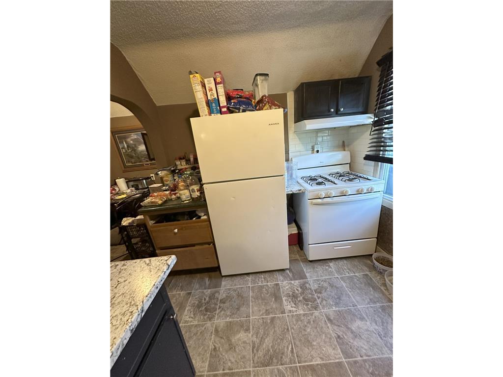 365 Case Avenue Saint Paul MN 55130 6787417 image12