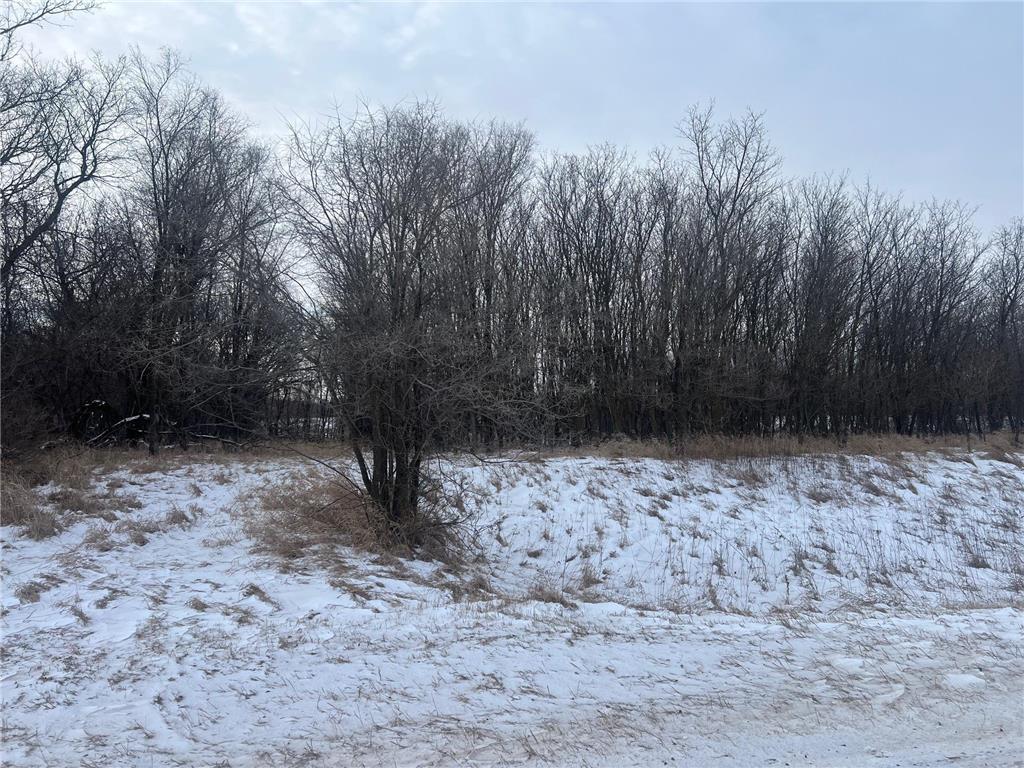 xxx 365th Street Watkins MN 55389 6658791 image1