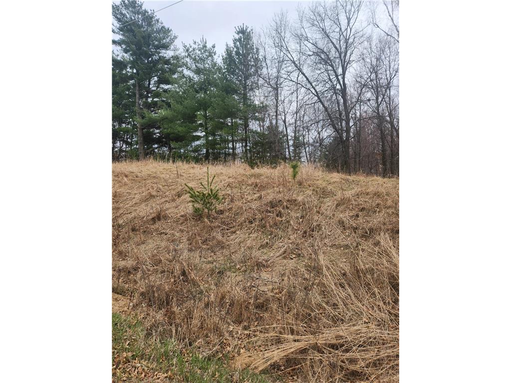 3650 253rd Avenue NE Isanti MN 55040 7060249 image3