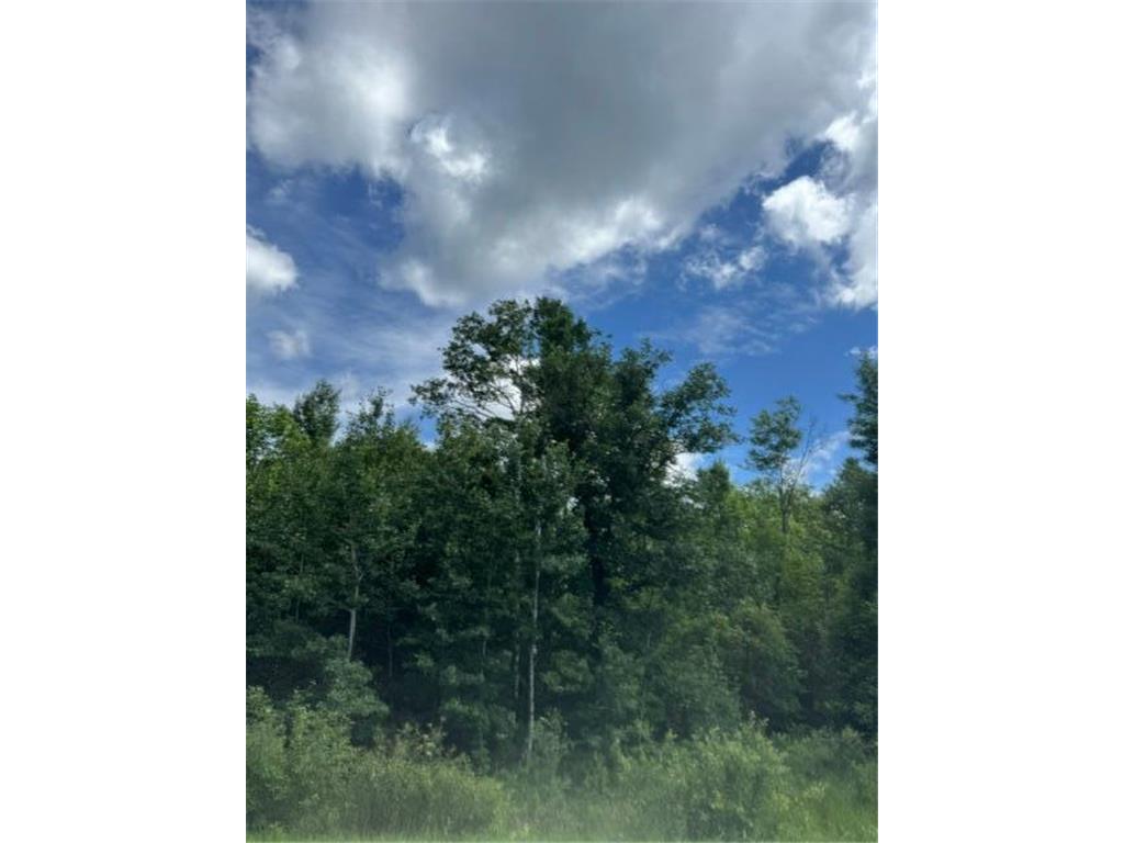 36502 County Road 129 Deer River MN 56636 7111533 image4