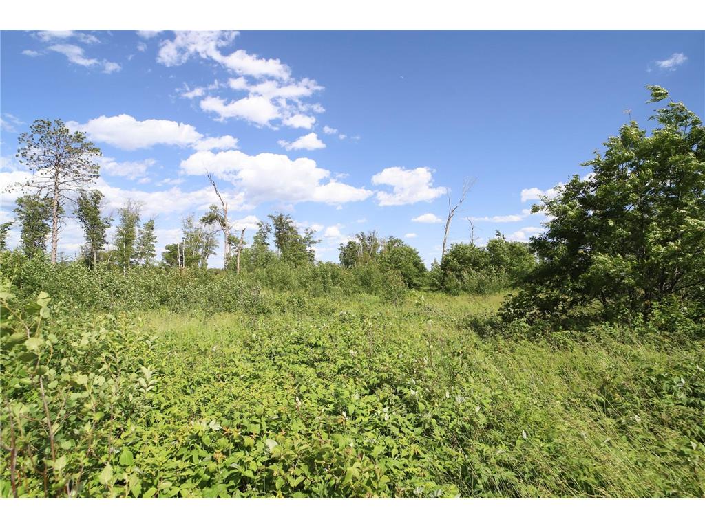 3651 Tradition Drive Brainerd MN 56401 6512723 image11