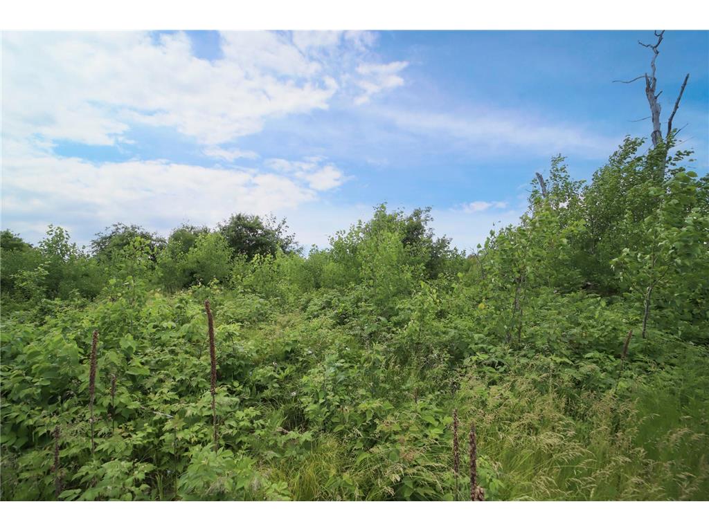 3651 Tradition Drive Brainerd MN 56401 6512723 image12