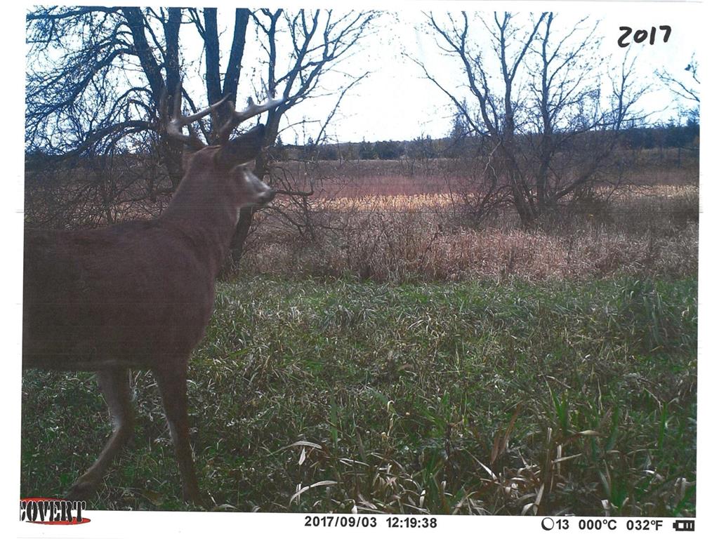 36518 211th Avenue Le Sueur MN 56057 6784471 image36