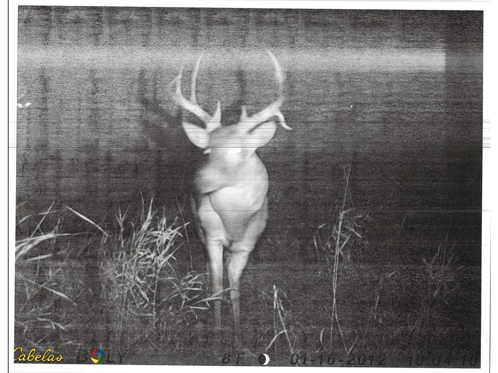 36518 211th Avenue Le Sueur MN 56057 6784471 image37