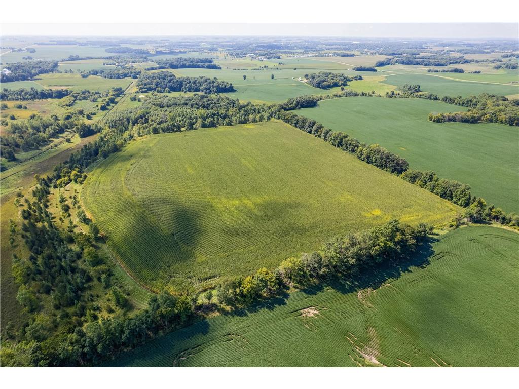 36518 211th Avenue Le Sueur MN 56057 6784471 image6