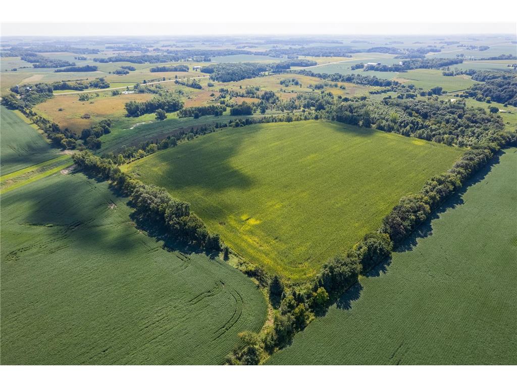 36518 211th Avenue Le Sueur MN 56057 6784471 image7