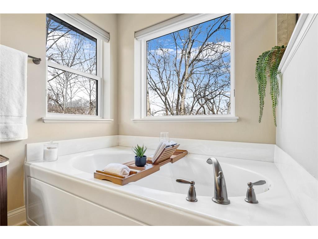 3653 Brocken Court Prior Lake MN 55372 7010167 image17