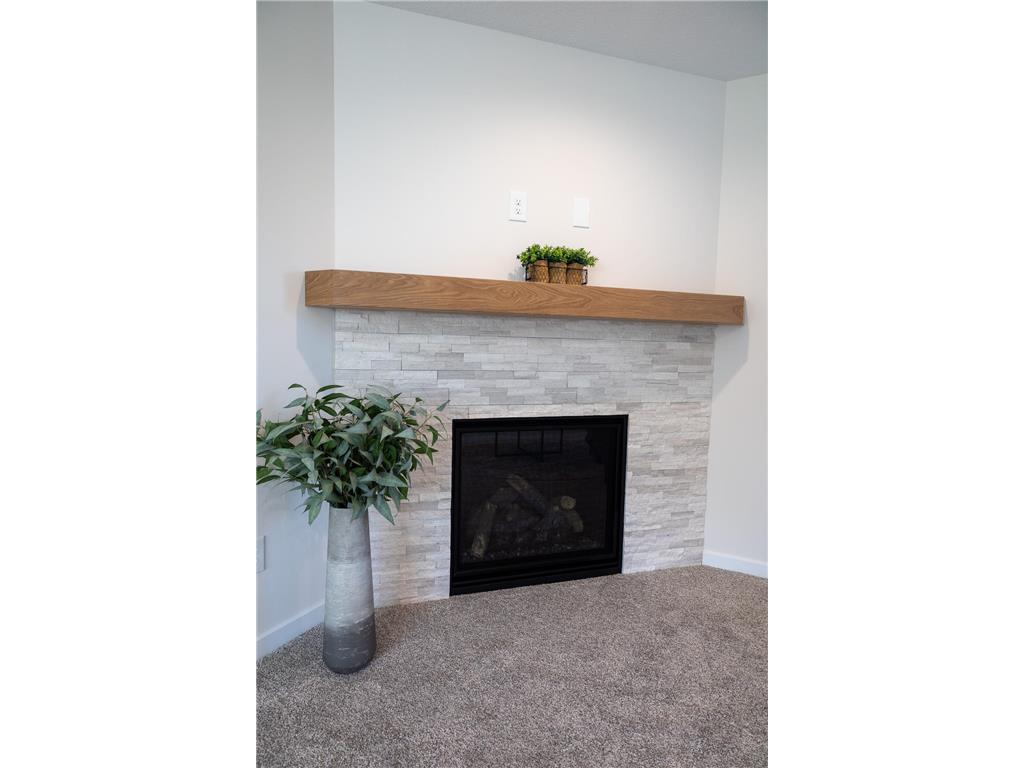 3658 Meadow Sage Court SE Rochester MN 55904 6686011 image37