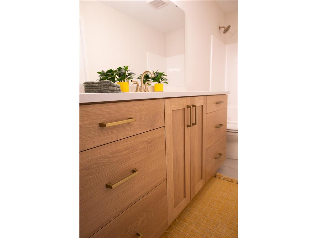 3658 Meadow Sage Court SE Rochester MN 55904 6686011 image43