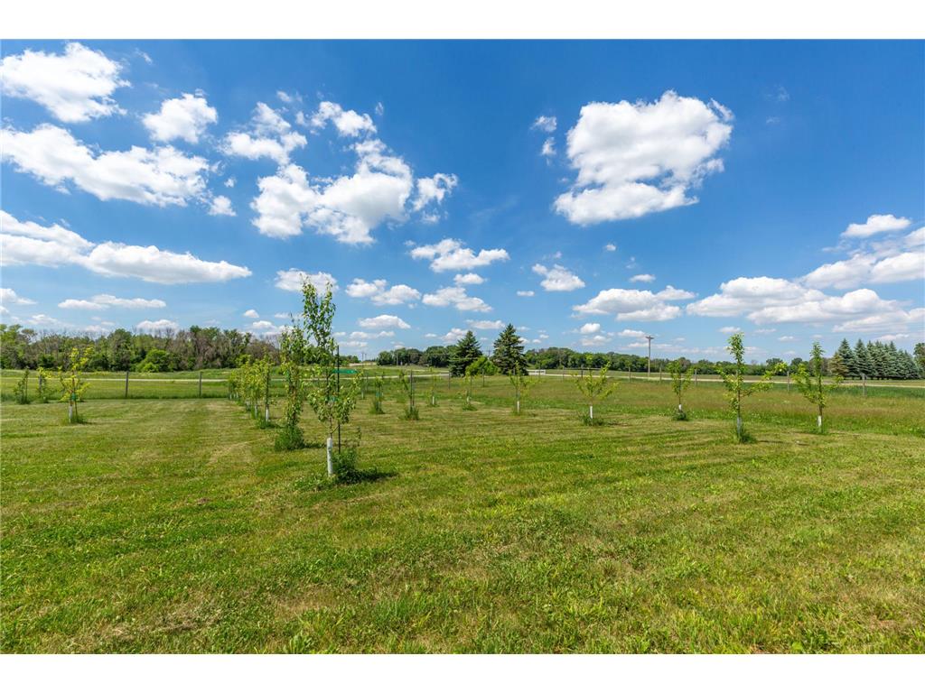 3658 Millersburg Boulevard Faribault MN 55021 7088665 image11