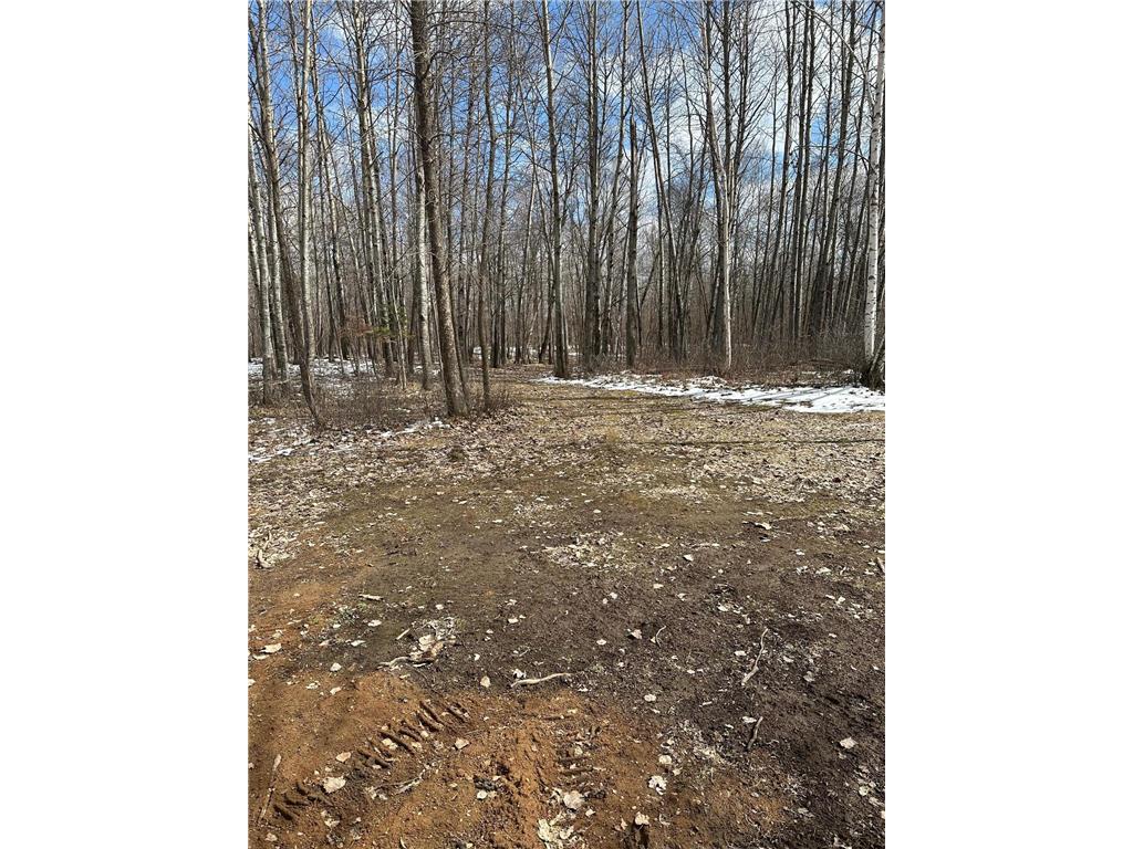 36599 Dove Nordland Twp MN 56431 - Section Ten 7055310 image7