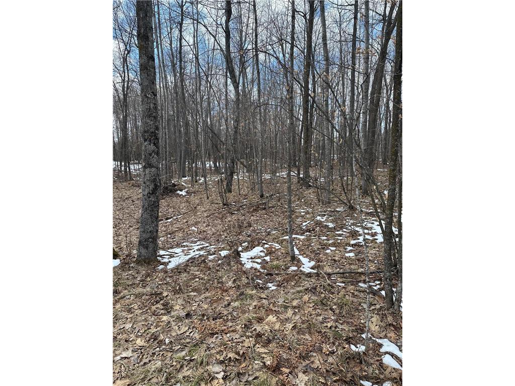 36599 Dove Street Nordland Twp MN 56431 - Section Ten 7054959 image5