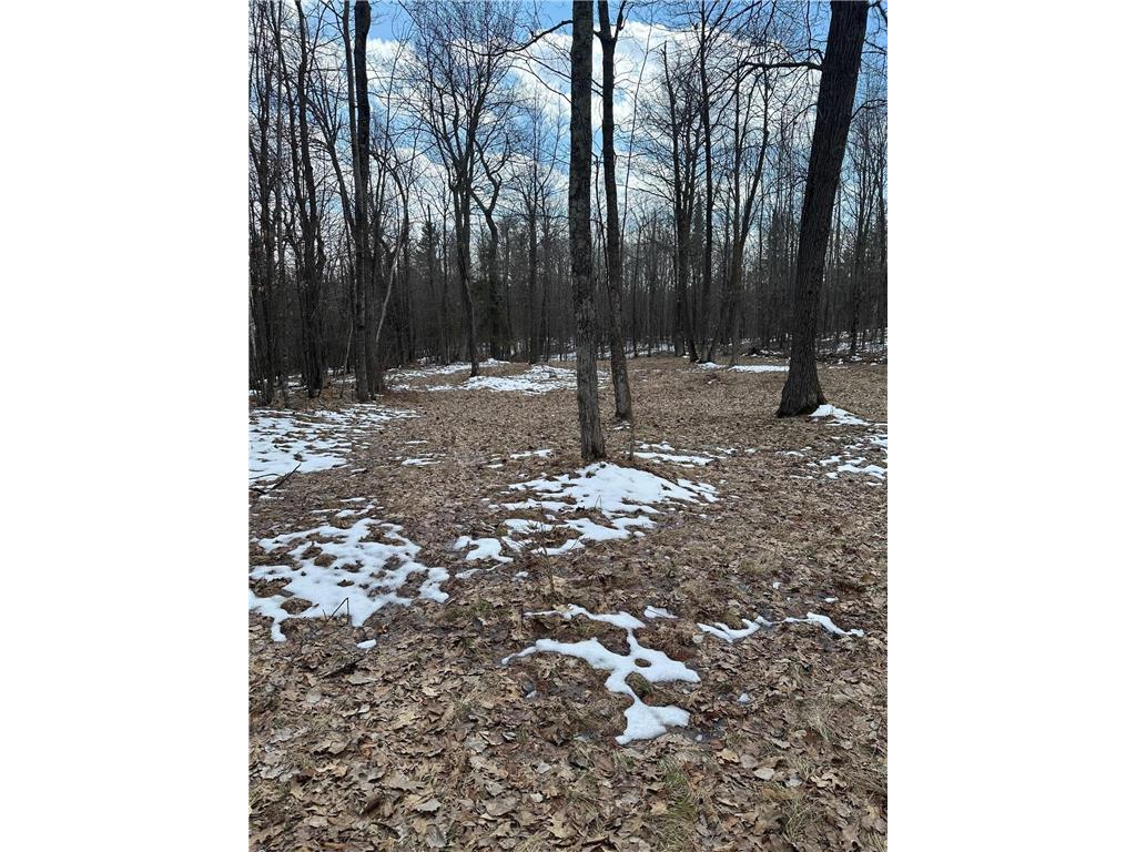 36599 Dove Street Nordland Twp MN 56431 - Section Ten 7054959 image6
