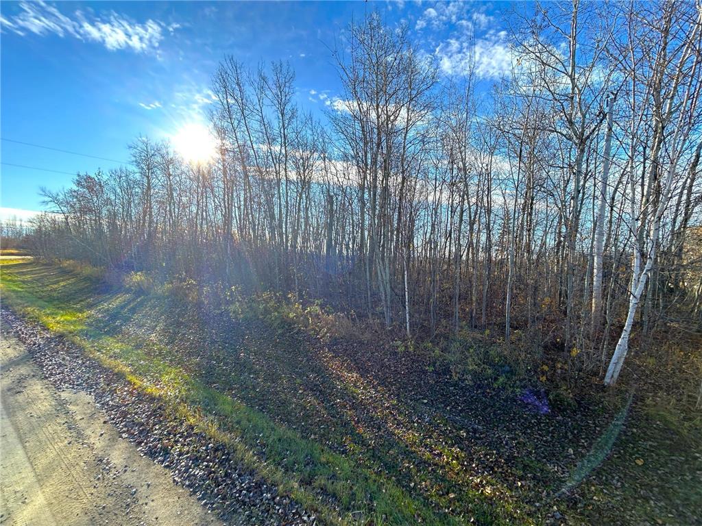 36615 County Road 13 Warroad MN 56756 7008600 image10