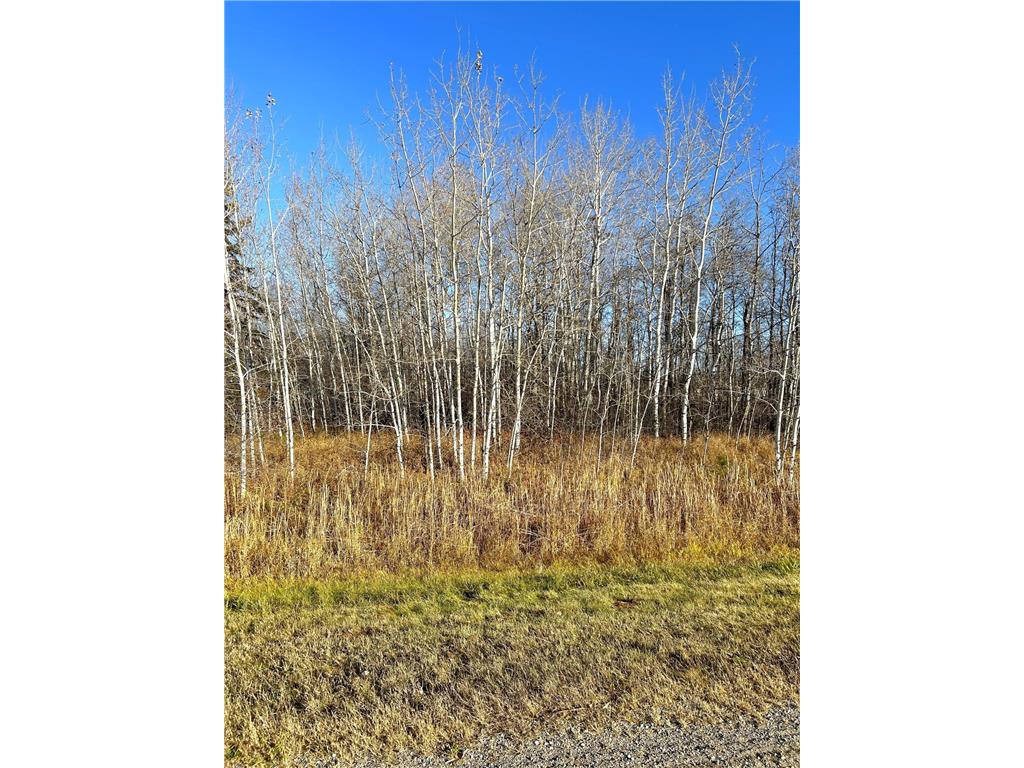 36615 County Road 13 Warroad MN 56756 7008600 image13