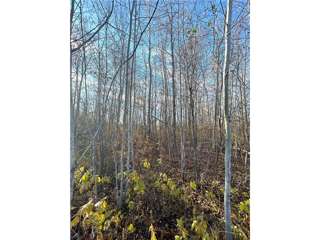 36615 County Road 13 Warroad MN 56756 7008600 image7